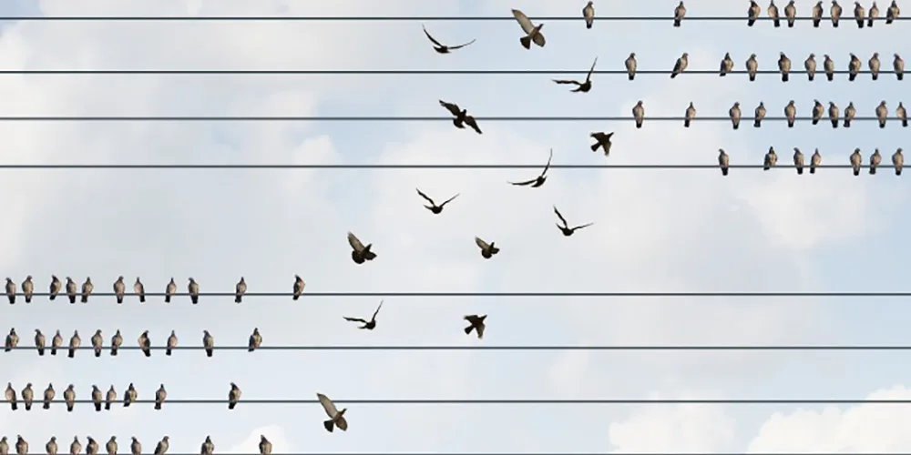 3 ways RIAs can attract new clients for long-term success 3 ways RIAs can attract new clients for long-term success