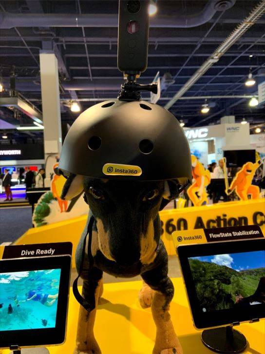 CES 2019 highlights: Tech and takeaways from Las Vegas Dog 360 Camera CES