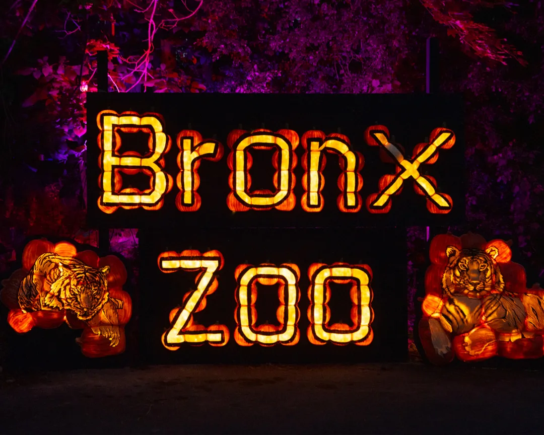 Bronx Zoo Boo at the Zoo pumpkin craving