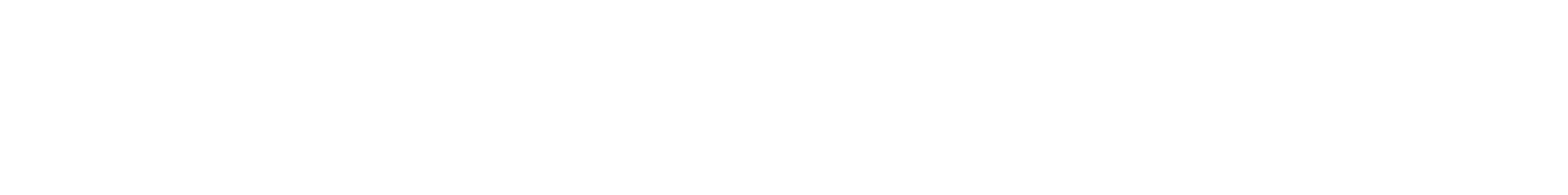 Descartes Systems Group Logo