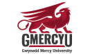 Chair of Gwynedd Mercy’s Board, Gwynedd Mercy University