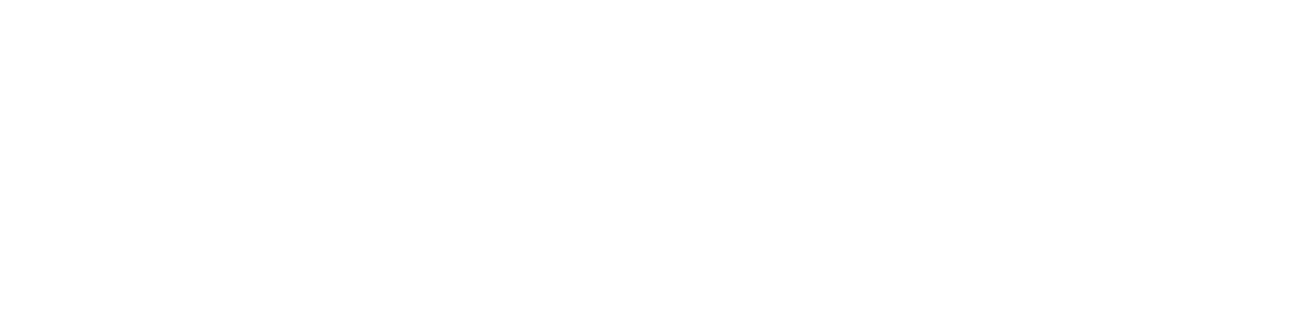 NuHarbor Security Logo