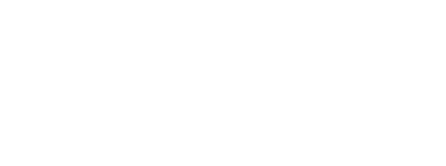 Schott Logo
